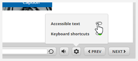 Accessible text switch