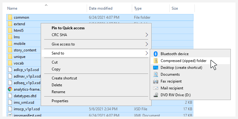 Wählen Sie alle veröffentlichten Dateien aus. Klicken Sie dann mit der rechten Maustaste, scrollen Sie zur Option „Senden an“ und Auswählen Sie „Komprimierter (gezippter) Ordner“.